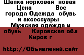 Шапка норковая, новая › Цена ­ 5 000 - Все города Одежда, обувь и аксессуары » Мужская одежда и обувь   . Кировская обл.,Киров г.